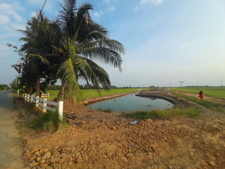 ที่ดินสวยวิวทุ่งนาสุดตา เริ่มต้น 200 ตรว ถนน บางเลน นครปฐม