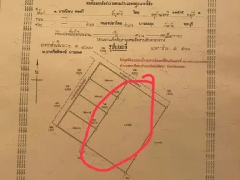 ขายที่ดินนิคมพัฒนา จังหวัดระยองที่ดินเหมาะแก่การลงทุนสร้างบ้านขาย