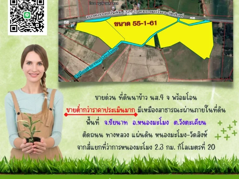 ขาย ที่ดิน ราคาถูก ต่ำกว่าราคาประเมิน ติดถนนทางหลวง หนองมะโมง - วัดสิงห์ วังตะเคียน ชัยนาท