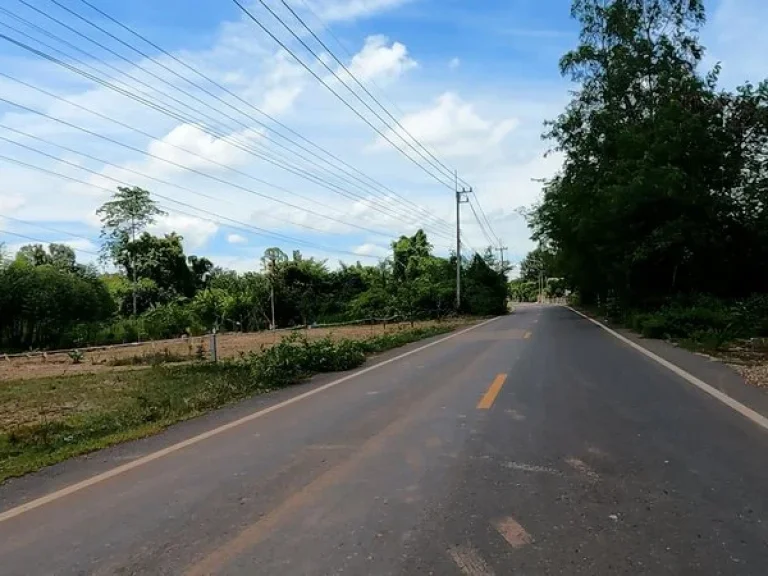 ขาย ที่ดินเปล่า บ้านหัวซา ตำบลหัวหว้า อำเภอศรีมหาโพธิ ปราจีนบุรี ใกล้แหล่งชุมชน