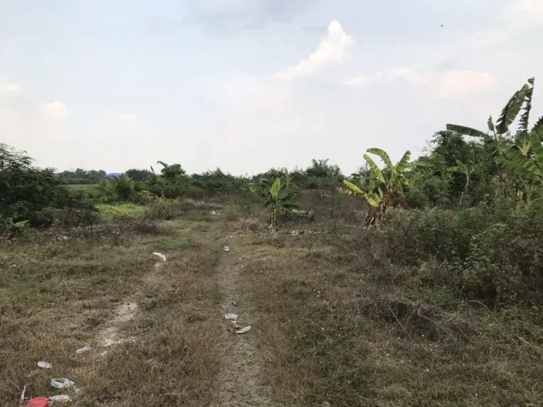 ขายที่ดินติดถนนคลองสี่ ตำบลคลองสี่ อำเภอคลองหลวง จังหวัดปทุมธานี