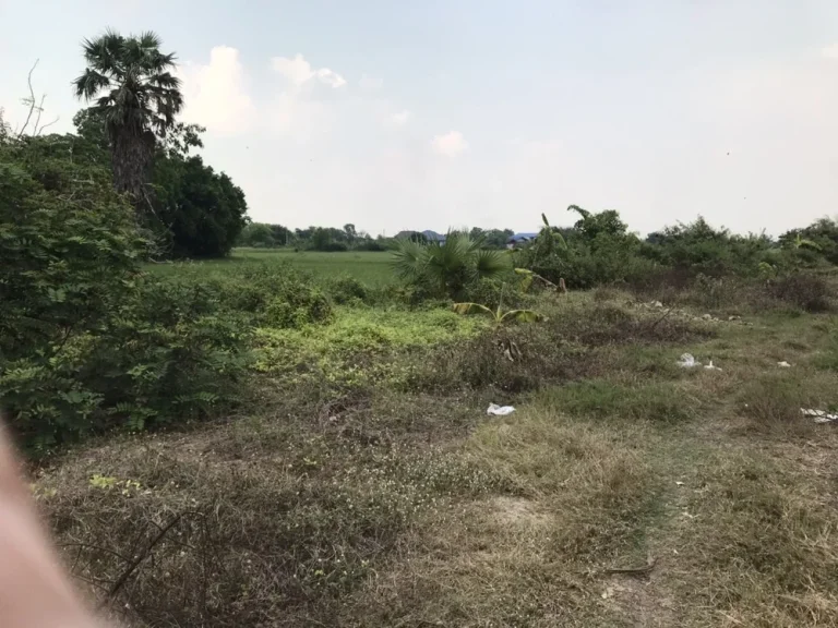 ขายที่ดินติดถนนคลองสี่ ตำบลคลองสี่ อำเภอคลองหลวง จังหวัดปทุมธานี