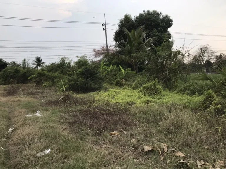 ขายที่ดินติดถนนคลองสี่ ตำบลคลองสี่ อำเภอคลองหลวง จังหวัดปทุมธานี