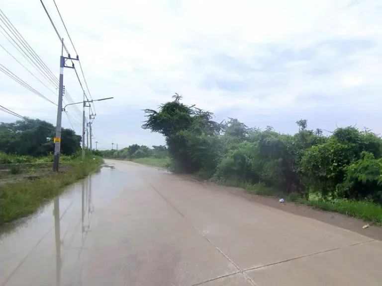 ขาย ที่ดิน 12 ไร่ครึ่ง ท่าทราย สมุทรสาคร โซนอุตสาหกรรม ใกล้นิคม ใกล้ถนนพระราม2 ซอยวัดศิริมงคล