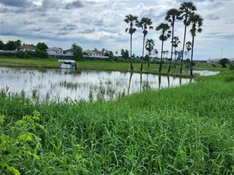 ขาย ที่ดิน 4 แยก ราชพฤกษ์ ชัยพฤกษ์ ต บางพลับ อ ปากเกร็ด จ นนทบุรี