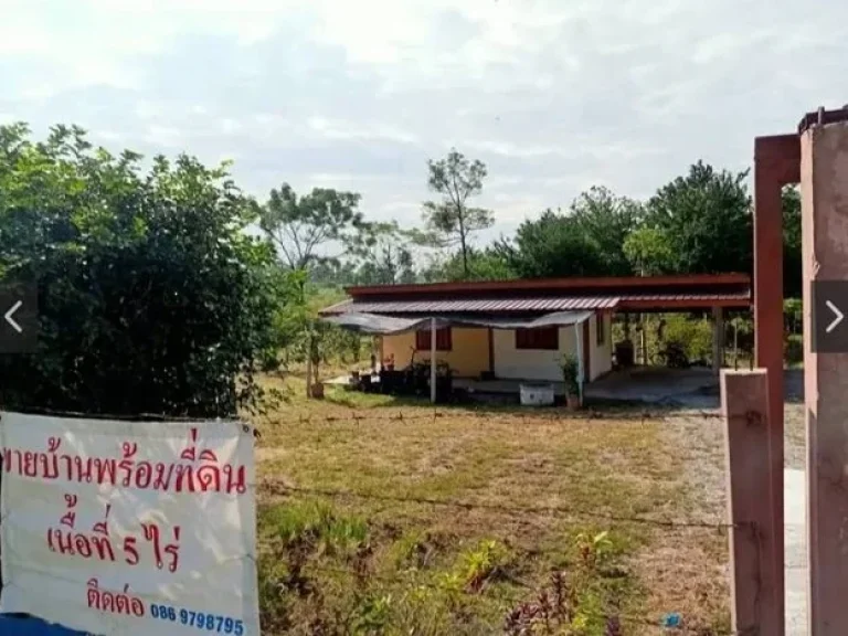 บ้าน พร้อม ที่ดิน จำนวน 5 ไร่ หมู่ 3 ตหนองบัว อบ้านหมอ จสระบุรี สาธารณูปโภคพร้อมอยู่