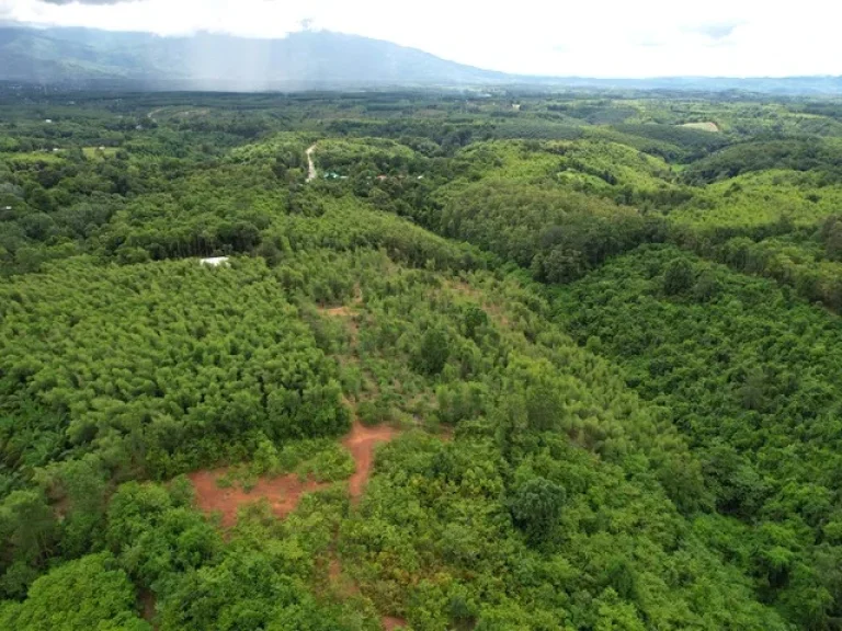 ที่ดินทำเลใกล้ตัวเมืองปัว วิวภูเขาสูงและสวย เนื้อที่ 9-2-60 ไร่ อปัว จน่าน