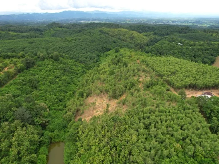 ที่ดินทำเลใกล้ตัวเมืองปัว วิวภูเขาสูงและสวย เนื้อที่ 9-2-60 ไร่ อปัว จน่าน