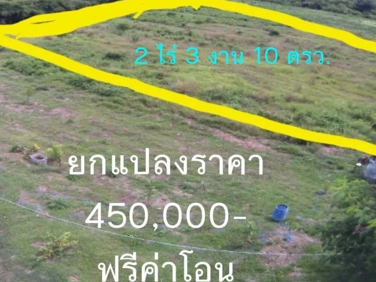 ขายที่ดิน 2-3-10 ไร่ ตกุดจอก อหนองมะโมง จชัยนาท ฟรีค่าโอน