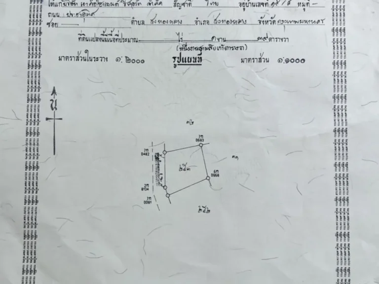 ขาย ที่ดินจัดสรร เขาค้อไฮแลนด์ เพชรบูรณ์ โฉนดถูกต้อง อากาศบริสุทธิ์ วิวภูเขา