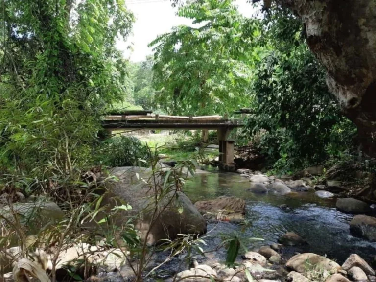 ติดทรัพย์ ขายที่ดินติดลำธาร วิวภูเขา แปลงเล็กที่สวยที่สุดในเชียงใหม่