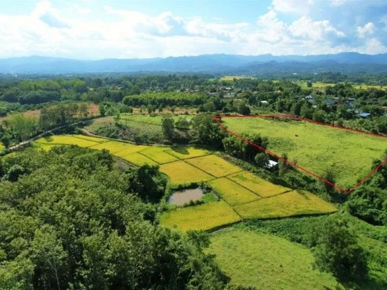 ที่ดินแปลงสวย บรรยากาศธรรมชาติ ไม่ใกลตัวเมืองเชียงกลาง จน่าน