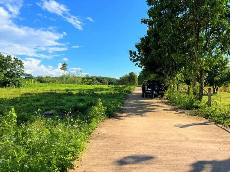 ที่ดินแปลงสวย บรรยากาศธรรมชาติ ไม่ใกลตัวเมืองเชียงกลาง จน่าน