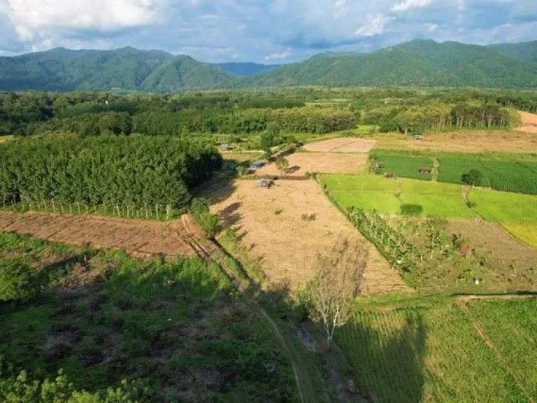 ที่ดินสำหรับปลูกบ้าน บ้านสวนเกษตร วิวภูเขา อเชียงกลาง จน่าน