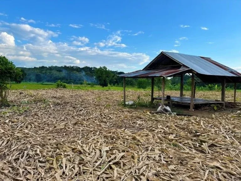 ที่ดินสำหรับปลูกบ้าน บ้านสวนเกษตร วิวภูเขา อเชียงกลาง จน่าน