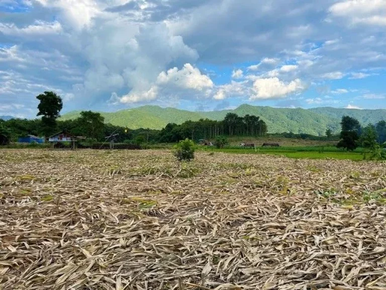 ที่ดินสำหรับปลูกบ้าน บ้านสวนเกษตร วิวภูเขา อเชียงกลาง จน่าน