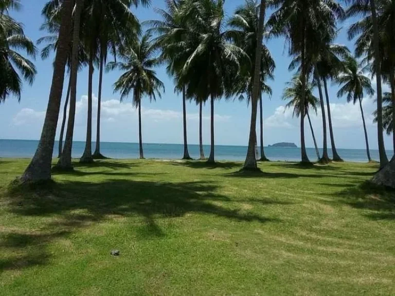 ที่ดินติดทะเลชุมพรหาดทรายรี เหมาะสร้างรีสอรืท บ้านพักตากอากาศ