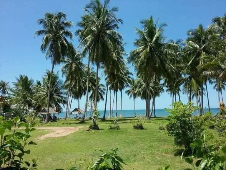 ที่ดินติดทะเลชุมพรหาดทรายรี เหมาะสร้างรีสอรืท บ้านพักตากอากาศ