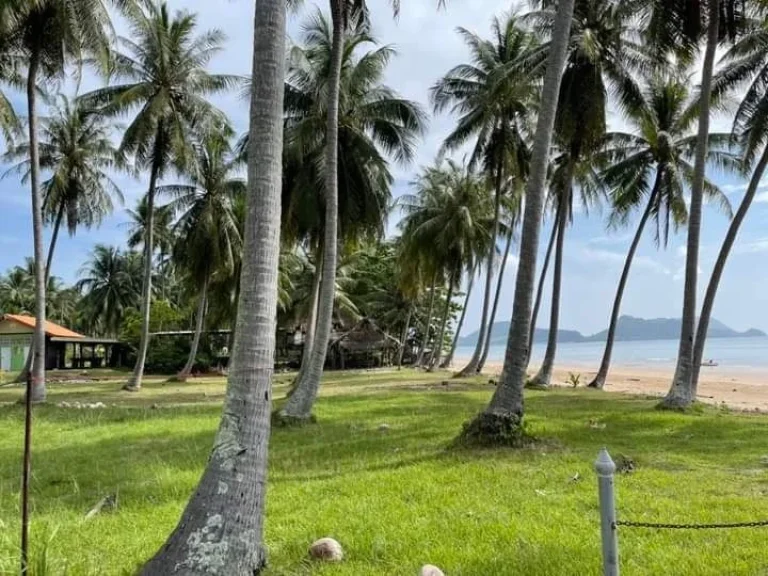 ที่ดินติดทะเลชุมพรหาดทรายรี เหมาะสร้างรีสอรืท บ้านพักตากอากาศ