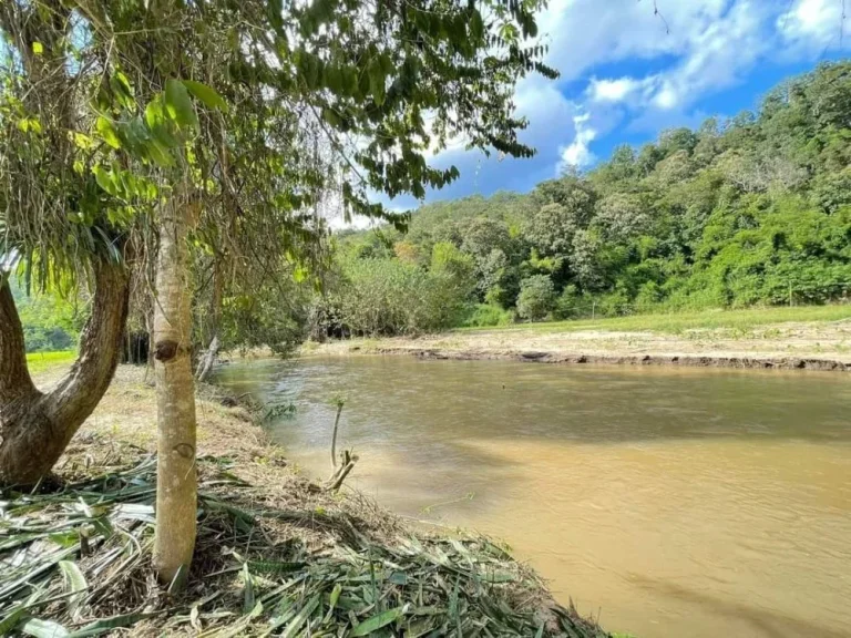 ขายที่ดินบ้านแม่ขานสะเมิงติดลำธารน้ำยาว 100เมตรโฉนด