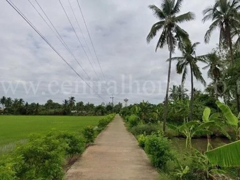 ที่ ดิน เปล่า 10 ไร่ ตำบล บ้านไร่ จังหวัด พิษณุโลก มีทาง เข้าออก