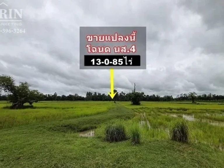 ขายที่ดิน ทําเลทอง ใกล้พัทยาน้อย เขื่อนสิรินธร 15กม ขายถูกๆ1975บตรว มีโฉนด หน้าติดถนน 4เลน ตรงจุดกลับรถพอดี ด้านหลังติดลําคลอง