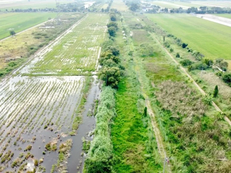 ขายที่ดินสวยสไตล์บ้านสวนและทำการเกษตร คลอง 8 หนองเสือ ปทุมธานี