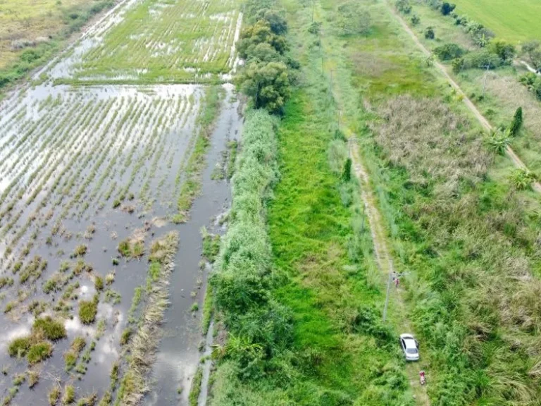 ขายที่ดินสวยสไตล์บ้านสวนและทำการเกษตร คลอง 8 หนองเสือ ปทุมธานี