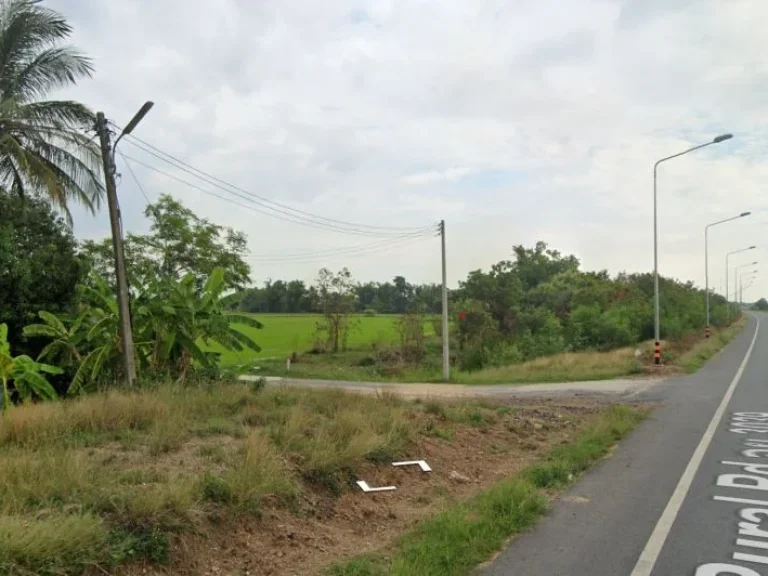 ขาย-ให้เช่าที่ดินติดถนนเลียบคลองระพีพัฒน์ อท่าเรือ ฟรีค่าโอน