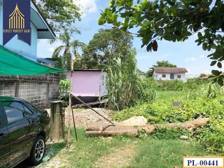 ที่ดิน สุขุมวิท101 ปุณณวิถี37 เเปลงสวยเหมาะทำที่อยู่อาศัย อยู่ในย่านเจริญเดินทางสะดวกใกล้ห้างสรรพสินค้า