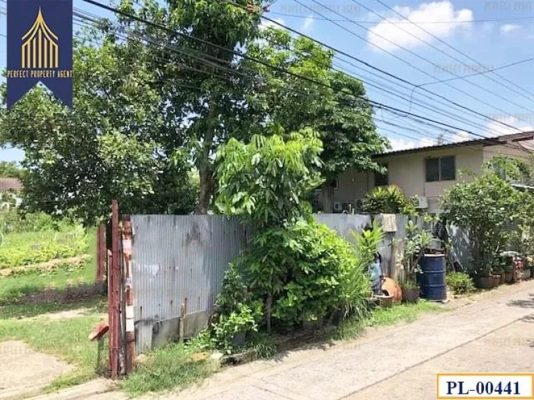 ที่ดิน สุขุมวิท101 ปุณณวิถี37 เเปลงสวยเหมาะทำที่อยู่อาศัย อยู่ในย่านเจริญเดินทางสะดวกใกล้ห้างสรรพสินค้า