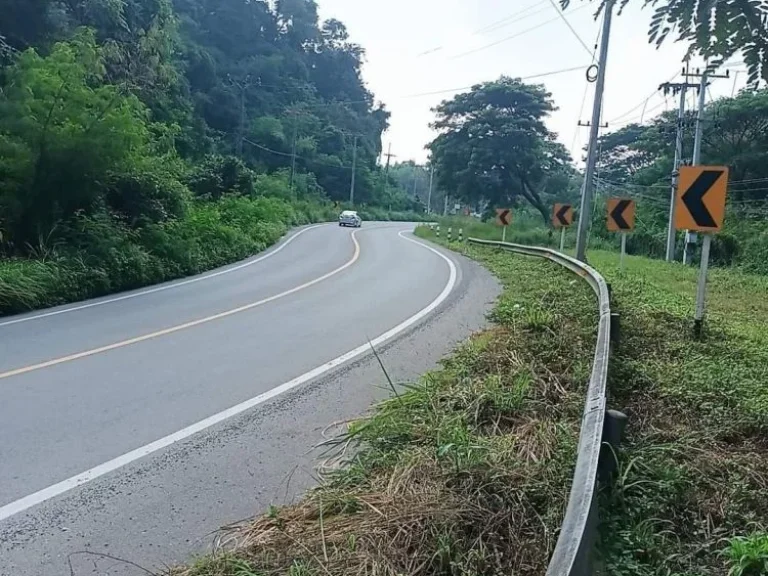 ขายที่ดินติดถนนหลักค้าขายได้หลังติดลำห้วยน้ำแพร่ เอกสาร ใบจับจอง