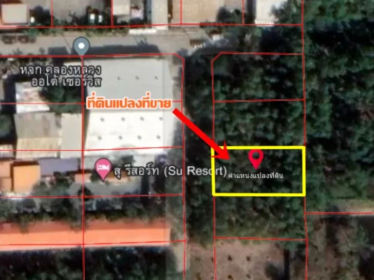 ขายที่ดินสวย ทำเลดี ใกล้วัดธรรมกาย ตลาดไท ห่างถนนคลองหลวงเพียง 50 เมตร