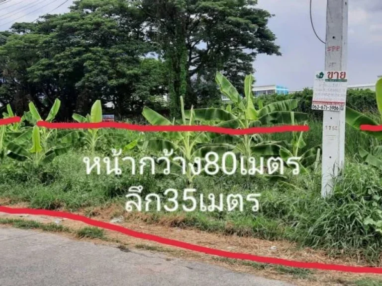 ขายที่ดิน ซอยกุญชร14 ตำบลคลอง1 จังหวัดปทุมธานี พร้อมโอน