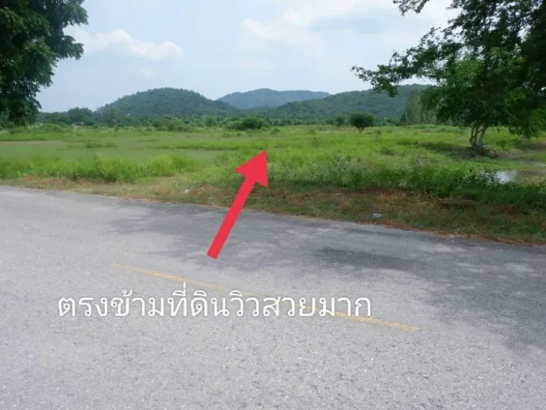 ขายที่ดินตำบลพังตรุ แบ่งขายเริ่ม 2ไร่ โฉนดครุฑแดง ท่าม่วง กาญจนบุรี