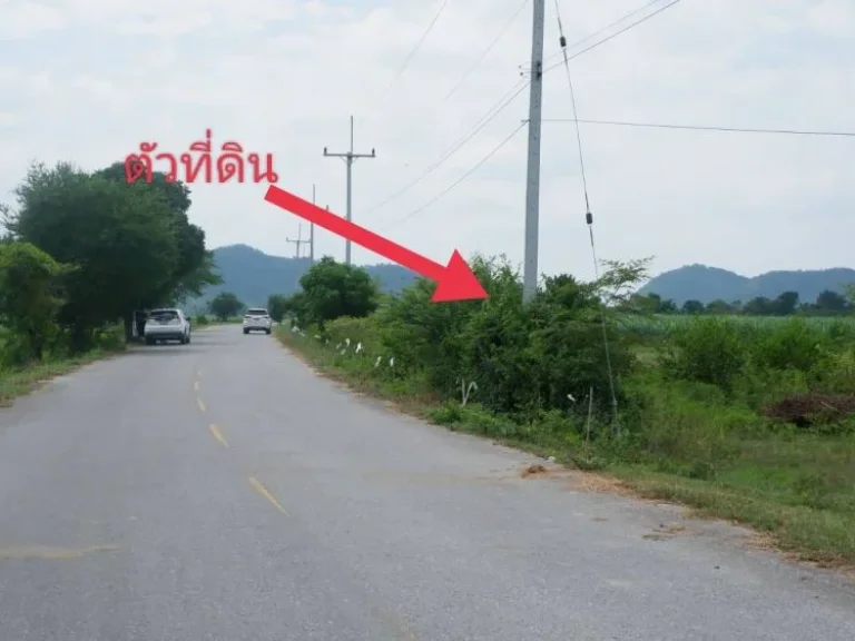 ขายที่ดินตำบลพังตรุ แบ่งขายเริ่ม 2ไร่ โฉนดครุฑแดง ท่าม่วง กาญจนบุรี