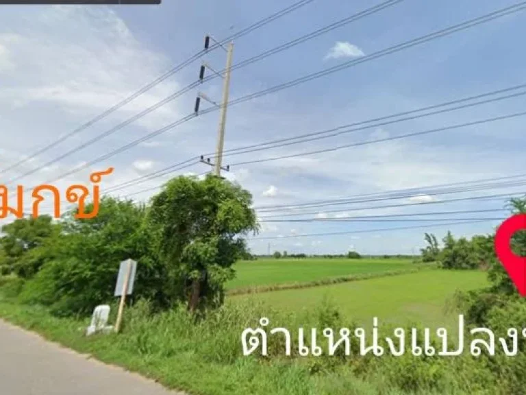 ขายที่ดิน เนื้อที่ 6320 ไร่ ติดถนน4เลน ตหน้าโคก อผักไห่ จพระนครศรีอยุธยา