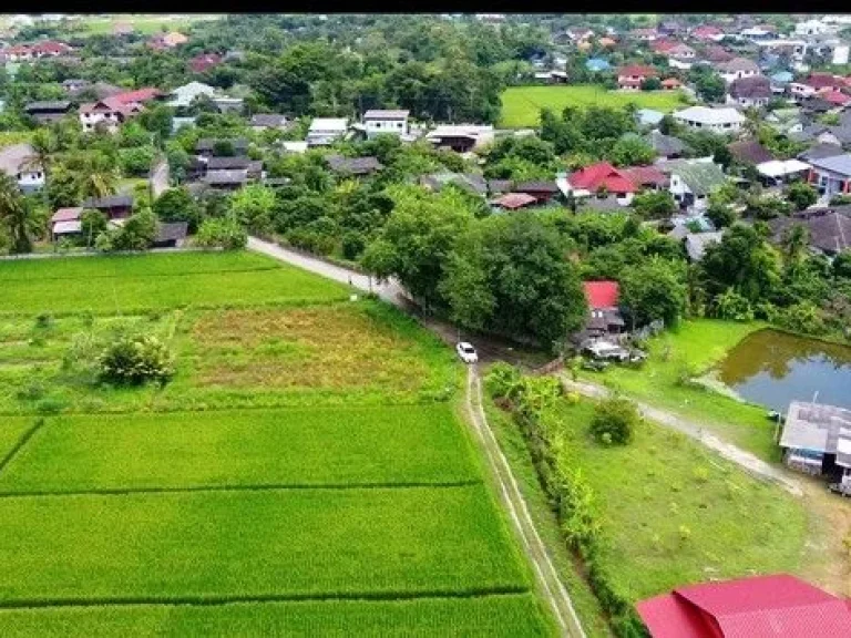 ขายที่ดิน เขตชุมชน ติดถนนลาดยาง ทำเลดี ดอยสะเก็ด เชียงใหม่ เจ้าของขายเอง