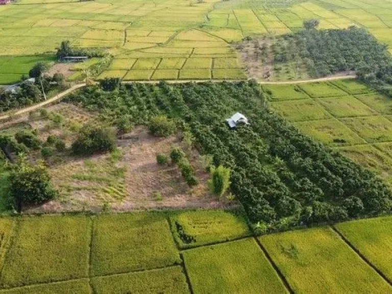 ขายที่ดินเปล่า ติดถนน ทำเลดี เหมาะสำหรับทำธุรกิจ ดอยสะเก็ด เชียงใหม่