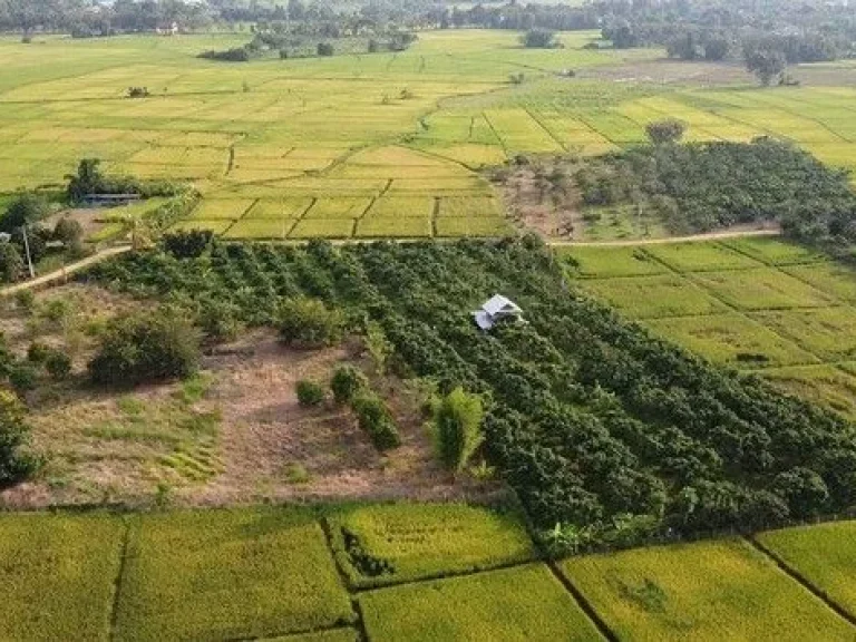 ขายที่ดินเปล่า ติดถนน ทำเลดี เหมาะสำหรับทำธุรกิจ ดอยสะเก็ด เชียงใหม่