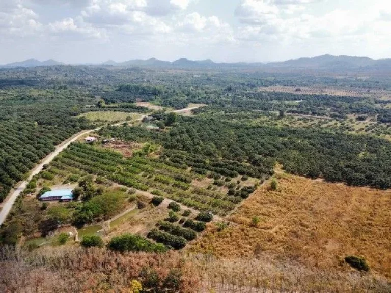 ขายที่ดินสวนลำไยพร้อมบ้านพักหลังใหญ่ บรรยากาศดี ทำเลดี ติดถนน จจันทบุรี