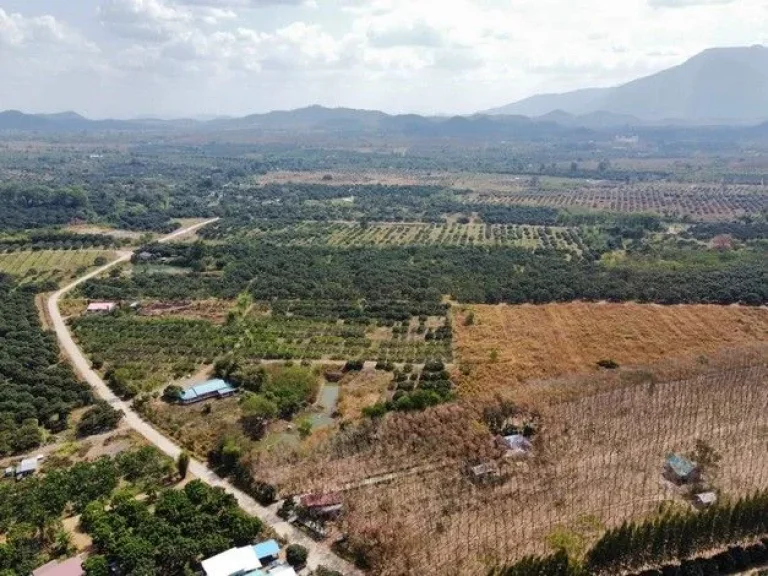 ขายที่ดินสวนลำไยพร้อมบ้านพักหลังใหญ่ บรรยากาศดี ทำเลดี ติดถนน จจันทบุรี