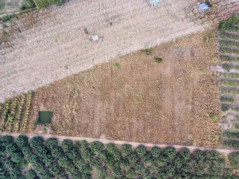 ขายที่ดินสวนลำไยพร้อมบ้านพักหลังใหญ่ บรรยากาศดี ทำเลดี ติดถนน จจันทบุรี