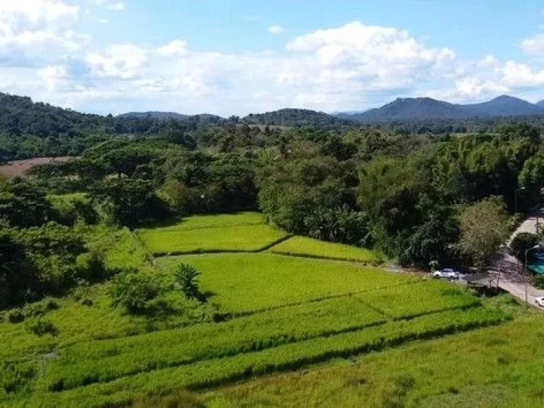 ขายที่ดินพร้อมบ่อน้ำพุร้อน เหมาะสำหรับทำธุรกิจ แม่ออน เชียงใหม่ เจ้าของขายเอง