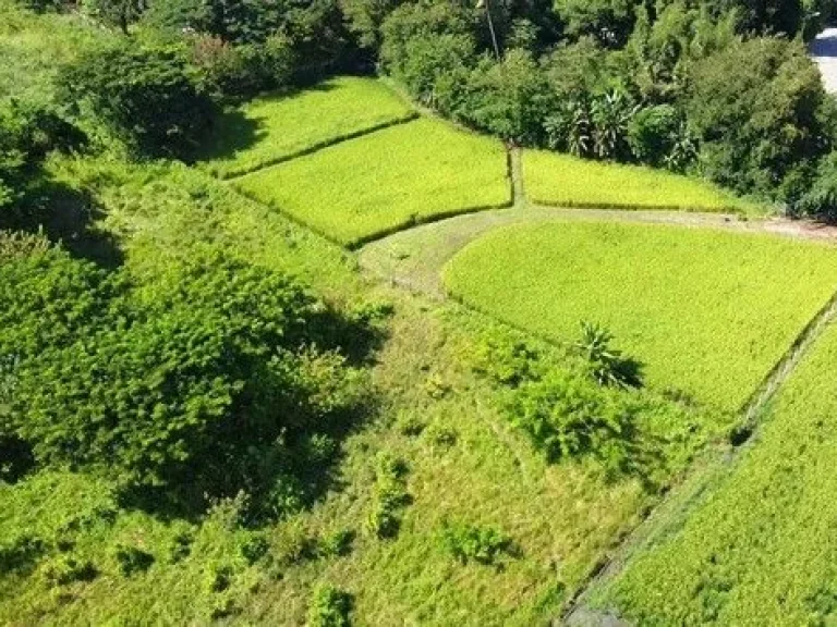 ขายที่ดินพร้อมบ่อน้ำพุร้อน เหมาะสำหรับทำธุรกิจ แม่ออน เชียงใหม่ เจ้าของขายเอง