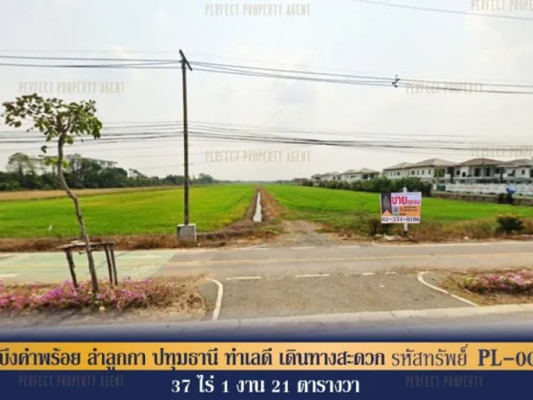 ที่ดินเปล่า บึงคำพร้อย ลำลูกกา ปทุมธานี ทำเลดี เดินทางสะดวก