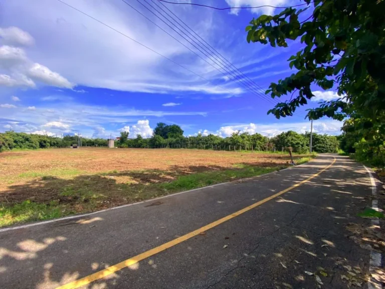 ที่ดินเชียงใหม่ ลดพิเศษ 269000 บาท มีไฟฟ้า มีประปา มีเพื่อนบ้าน