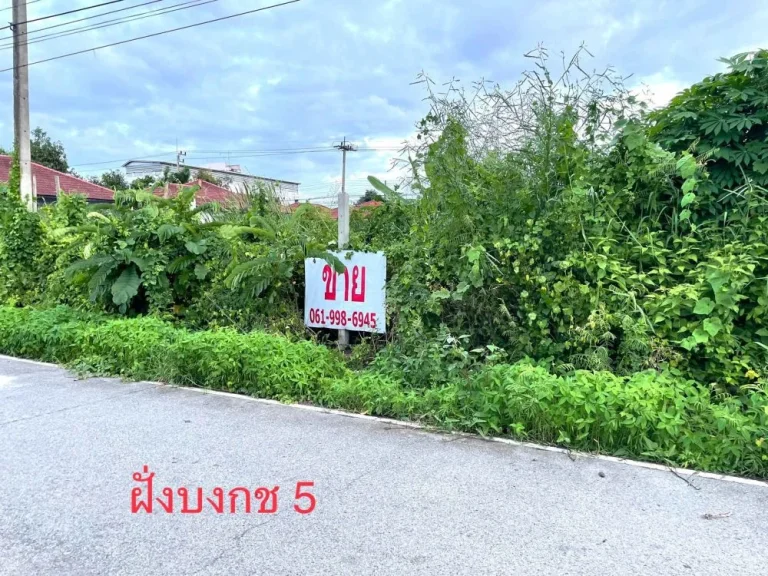 ขายที่ดิน 1 ไร่ ทำเลดี คลองหลวง เหมาะทำธุรกิจ คลองหลวง จปทุมธานี