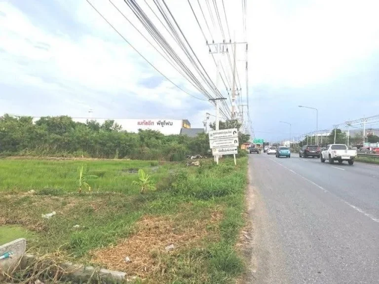 ขายที่ดินเปล่าพุธทมณฑลสาย5 แปลงใหญ่ สามพราน บรรยากาศธรรมชาติ ติดถนน ทำเลดี เดินทางสะดวก นครปฐม