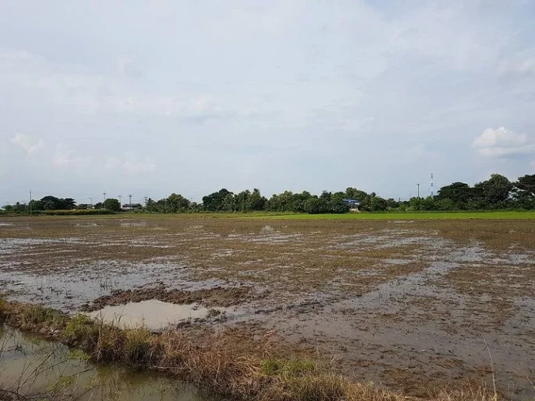 ขายที่ดิน 6 ไร่ ตบางคูวัด อเมืองปทุมธานี จปทุมธานี